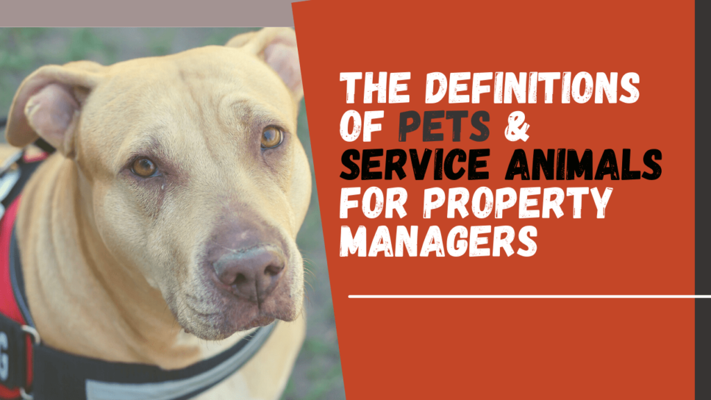 The Definitions of Pets & Service Animals for Vancouver Property Managers - Article Banner