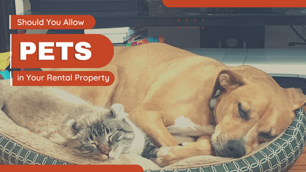 Should You Allow Pets in Your Vancouver Rental Property - Article Banner